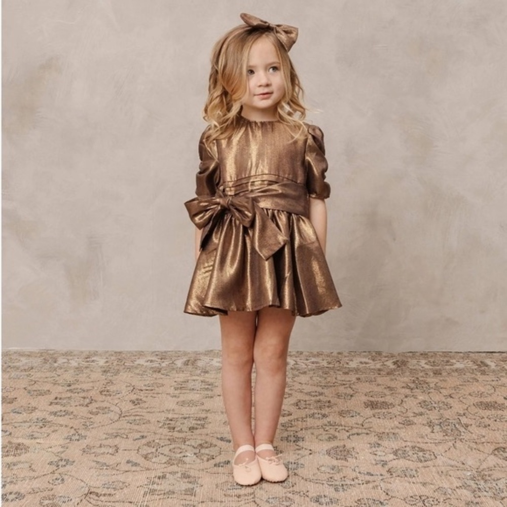 Noralee Josephine dress bronze size 10 BRAND NEW